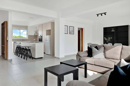 Logement entier à Romanou, image 10 de 15