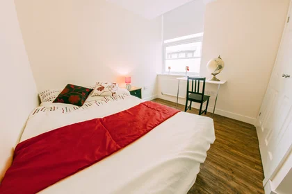Habitación privada en Beverley Road Hull Hull HU5 1LA, imagen 11 de 12