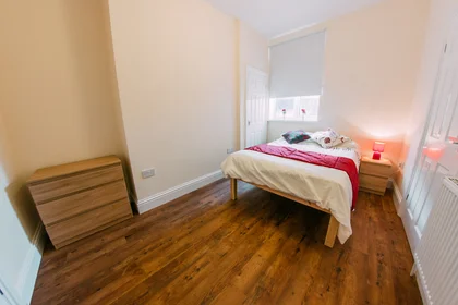 Habitación privada en Beverley Road Hull Hull HU5 1LA, imagen 6 de 12