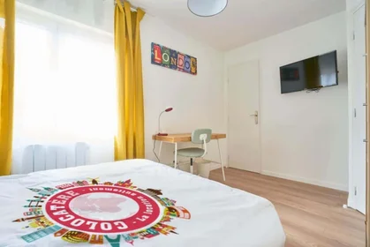Stanza privata in 115 Av. de Dunkerque, 59000 Lille, France, immagine 2 di 17