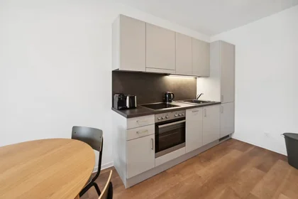 Entire apartment at Waagner-Biro-Straße, Lend, image 7 of 10