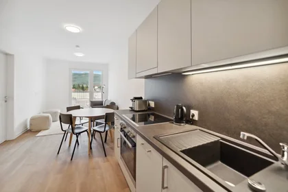 Entire apartment at Waagner-Biro-Straße, Lend, image 8 of 10