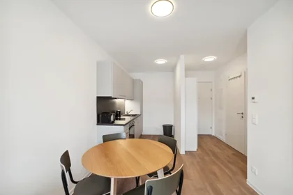 Entire apartment at Waagner-Biro-Straße, Lend, image 9 of 10