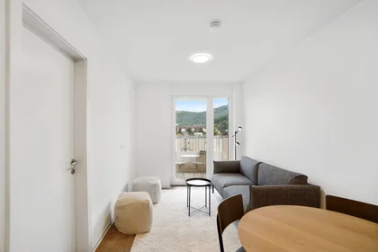 Entire apartment at Waagner-Biro-Straße, Lend, image 10 of 10