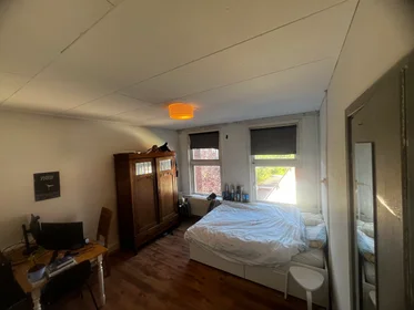 Private room at Tuinbouwdwarsstraat, image 1 of 3