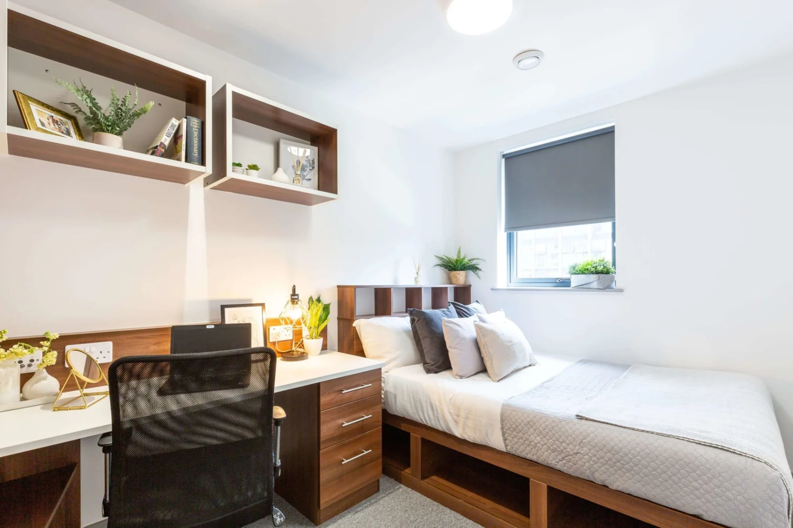Gemütliches Zimmer für Studenten in 