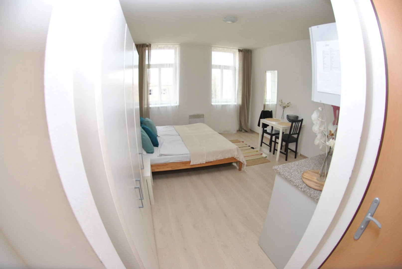 Entire fully furnished flat in Brno