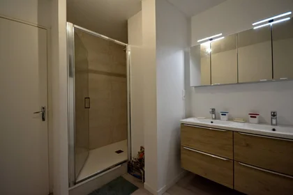 Chambre privée à Troyes, 10000, image 11 de 15