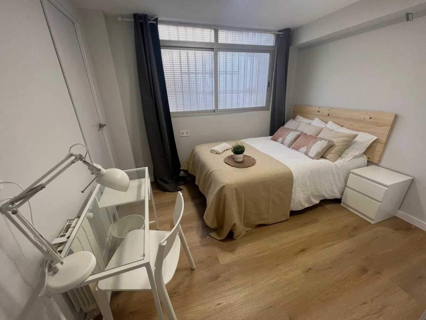 Affordable room for students with ample lighting in 