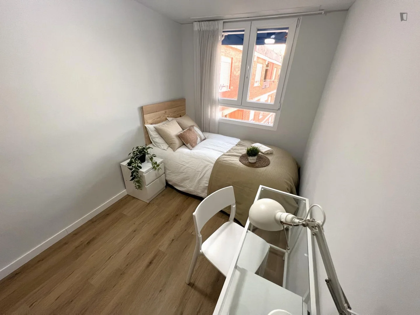 Affordable room for students with ample lighting in 