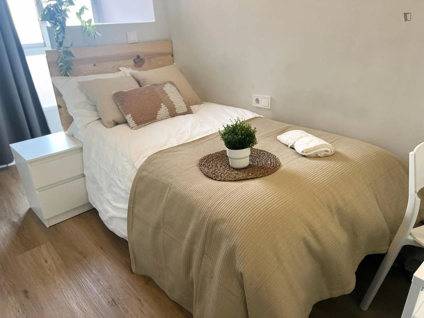 Affordable room for students with ample lighting in 