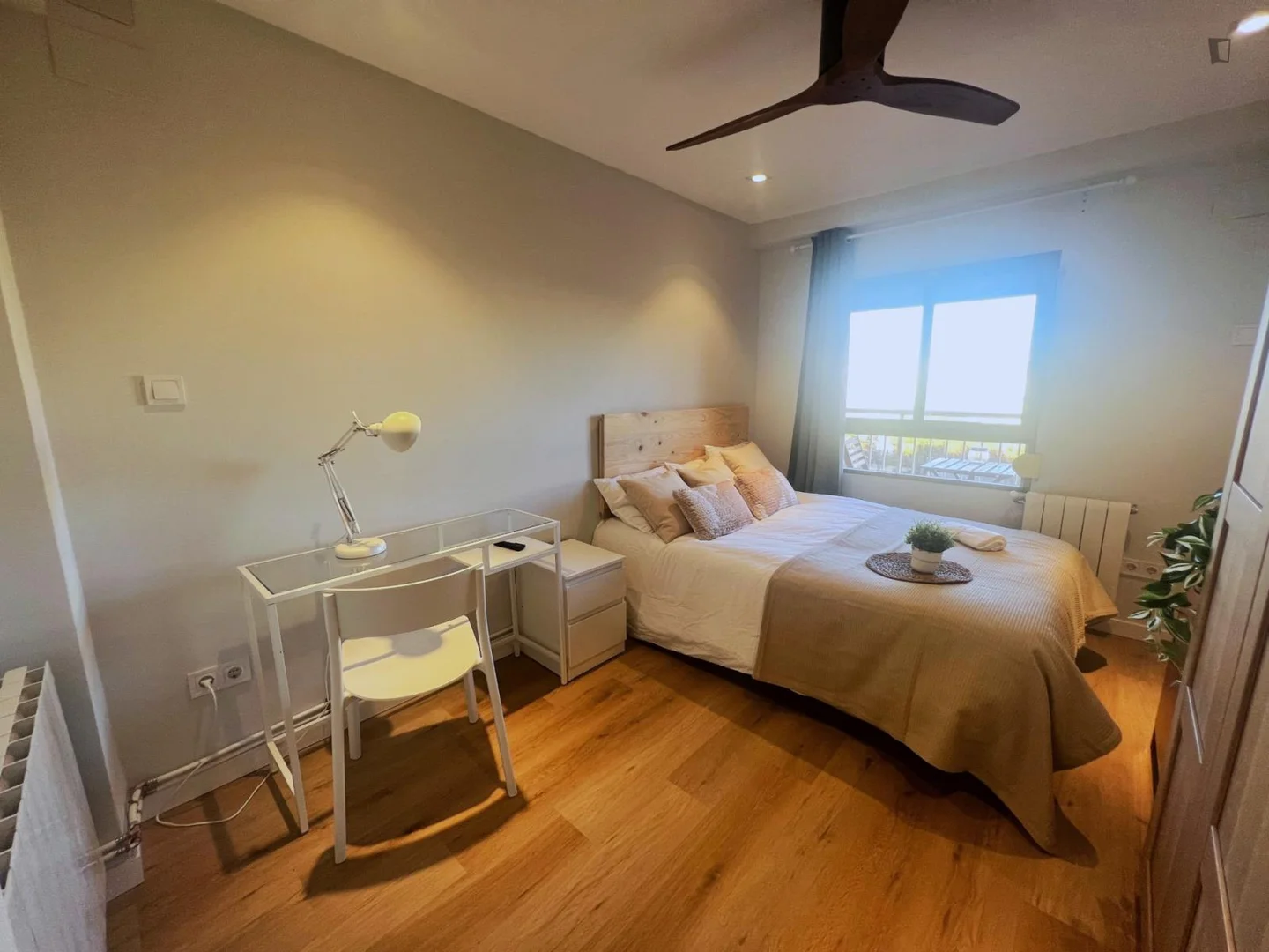 Budget-friendly student room close to campus in 