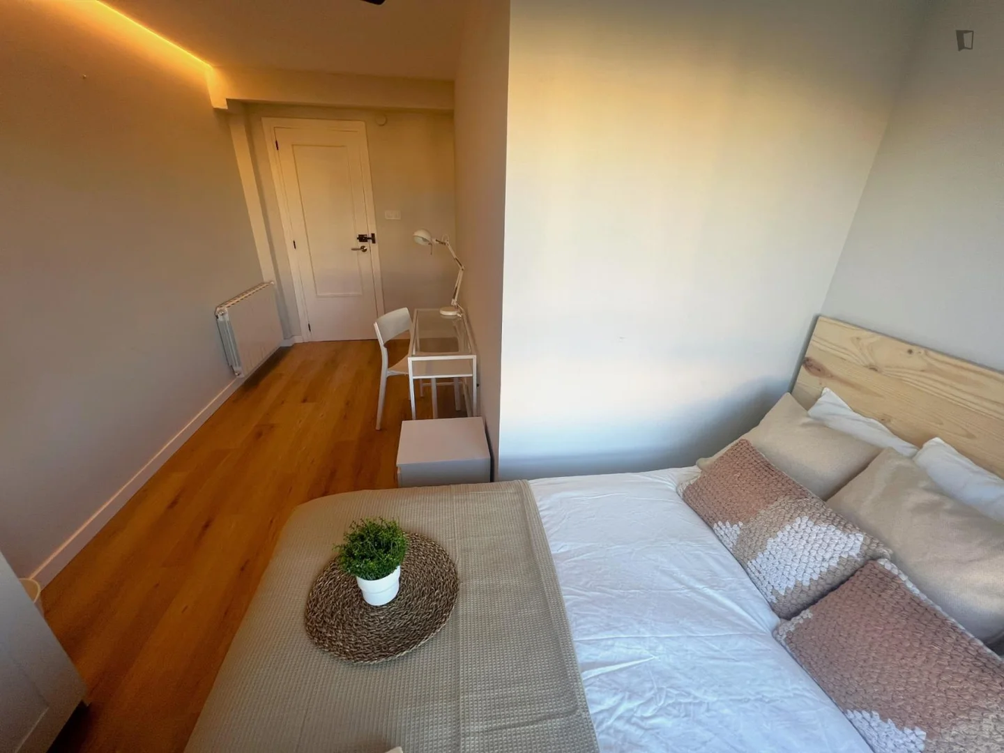 Affordable room for students with ample lighting in 