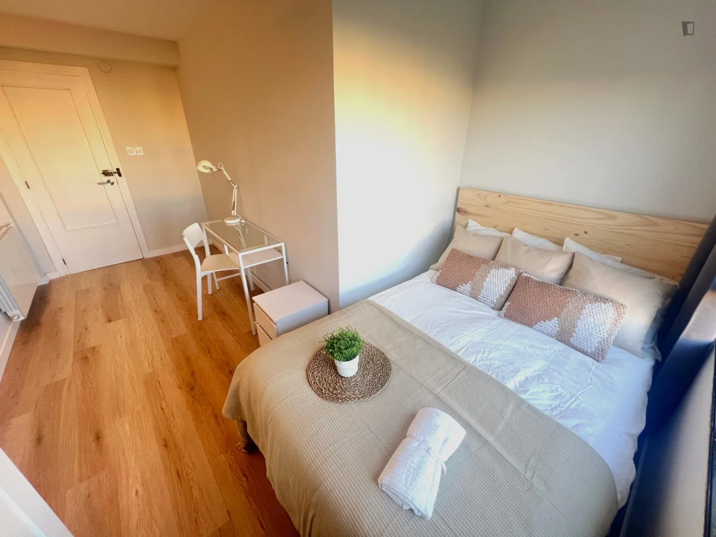 Affordable room for students with ample lighting in 