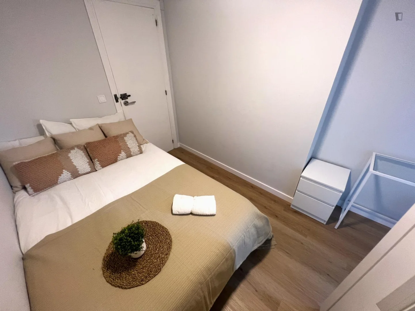 Cozy room for students available in 