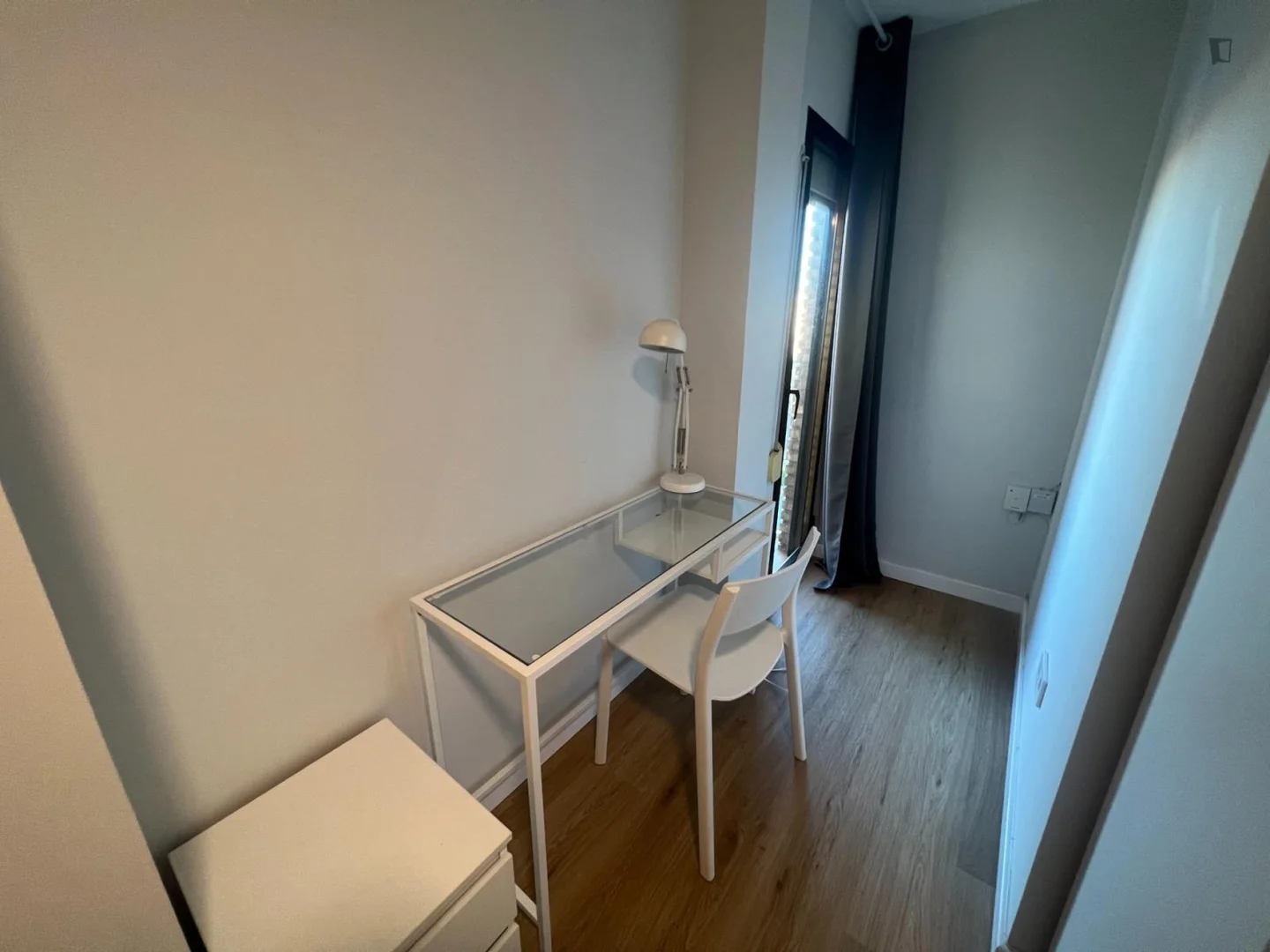 Affordable room for students with ample lighting in 