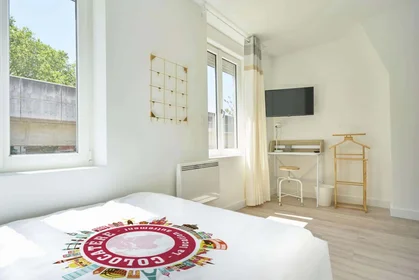 Stanza privata in 44 Bd de Belfort, 59000 Lille, France, immagine 3 di 18