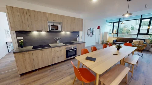 Habitación privada en Avenue Sainte-Anne, imagen 4 de 20