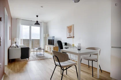 Entire apartment at Leopold-Böhm-Straße, image 12 of 15