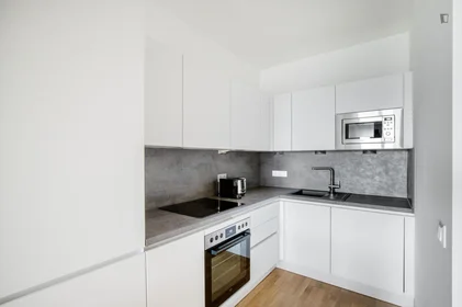 Entire apartment at Leopold-Böhm-Straße, image 10 of 15
