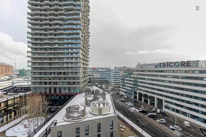 Logement entier à Leopold-Böhm-Straße , image 16 de 20