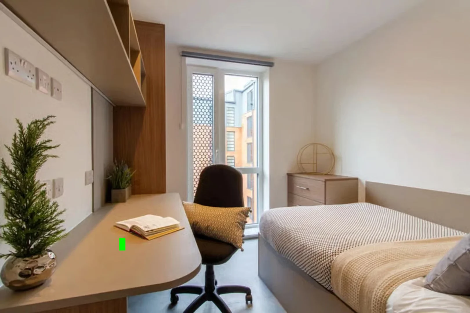 Quarto de estudante confortável e espaçoso em 