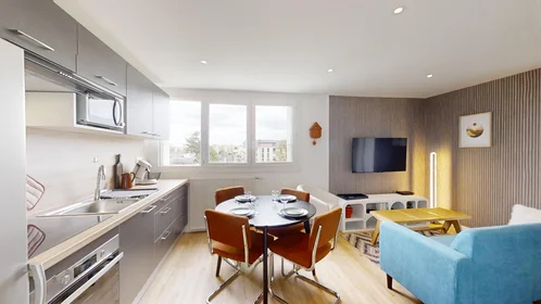 私人房间 在 16 rue emile cochet, 10的图像1