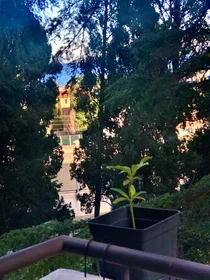 Stüdyo daire konumu Avenue Sainte-Marguerite, 6 35 görüntüsü
