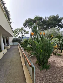 Monolocale in Chemin des Âmes du Purgatoire, 06600 Antibes, immagine 3 di 18