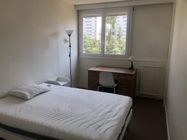 Studio à Boulevard Alexandre de Fraissinette, 42100 Saint-Étienne, image 2 de 7