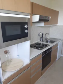 Studio à Boulevard Alexandre de Fraissinette, 42100 Saint-Étienne, image 4 de 7