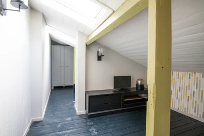 Studio at Avenue Jean Lebas, image 7 of 7