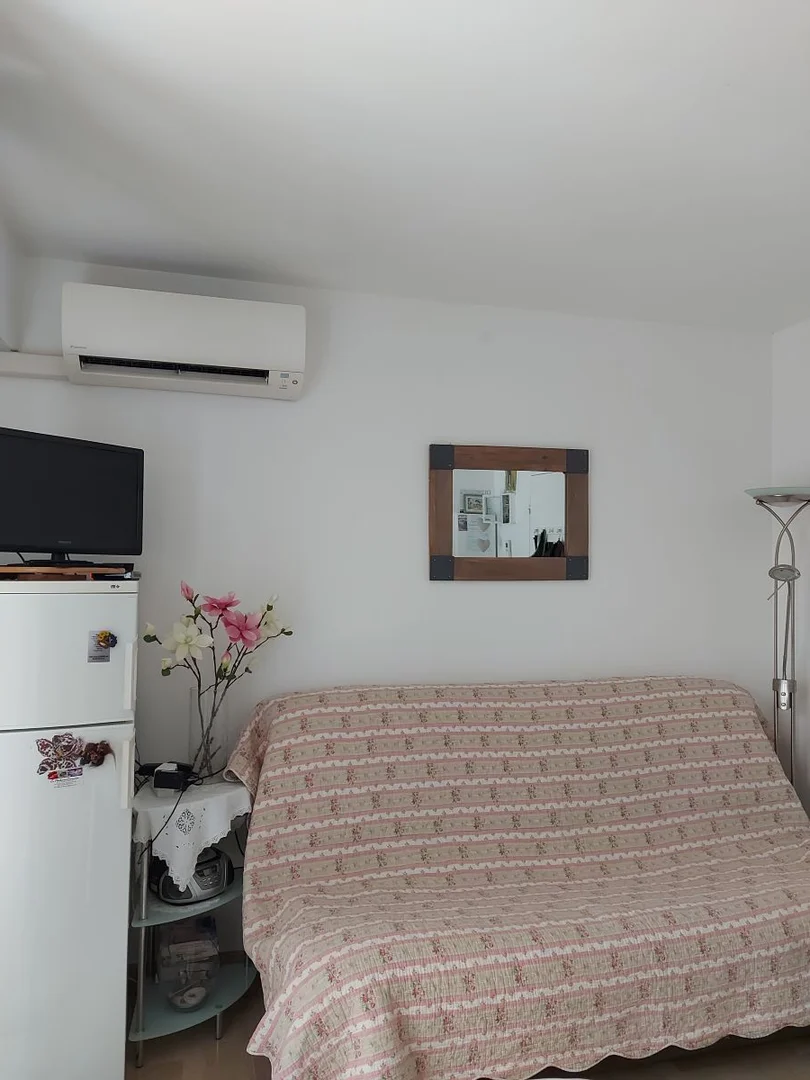 Compact studio apartment ideal for students in
