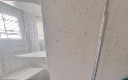 Studio in der Rue de la Méditerranée, bild 10 von 14
