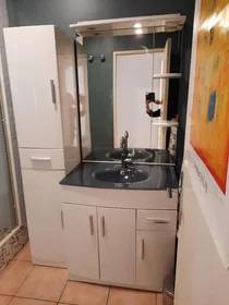 Studio at Rue des Frères Vallon, image 8 of 12