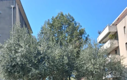 Monolocale in Traverse de la Gouffonne, immagine 18 di 26