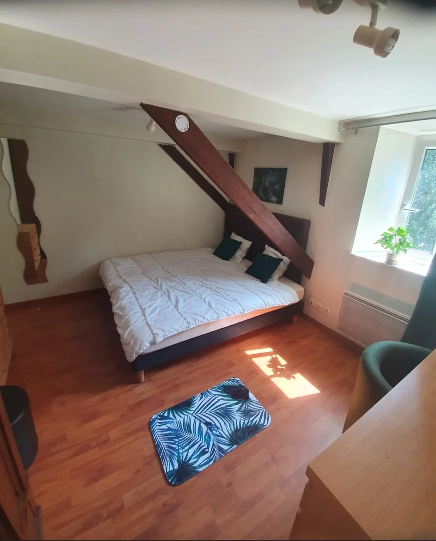 Modern student studio with complete amenities in 
