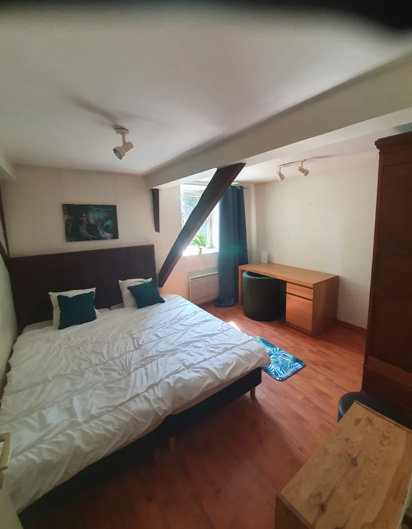 Student-friendly studio with excellent transport links in 