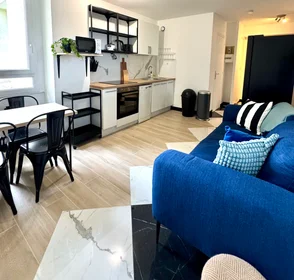Monolocale in Rue des Pyramides, immagine 9 di 11
