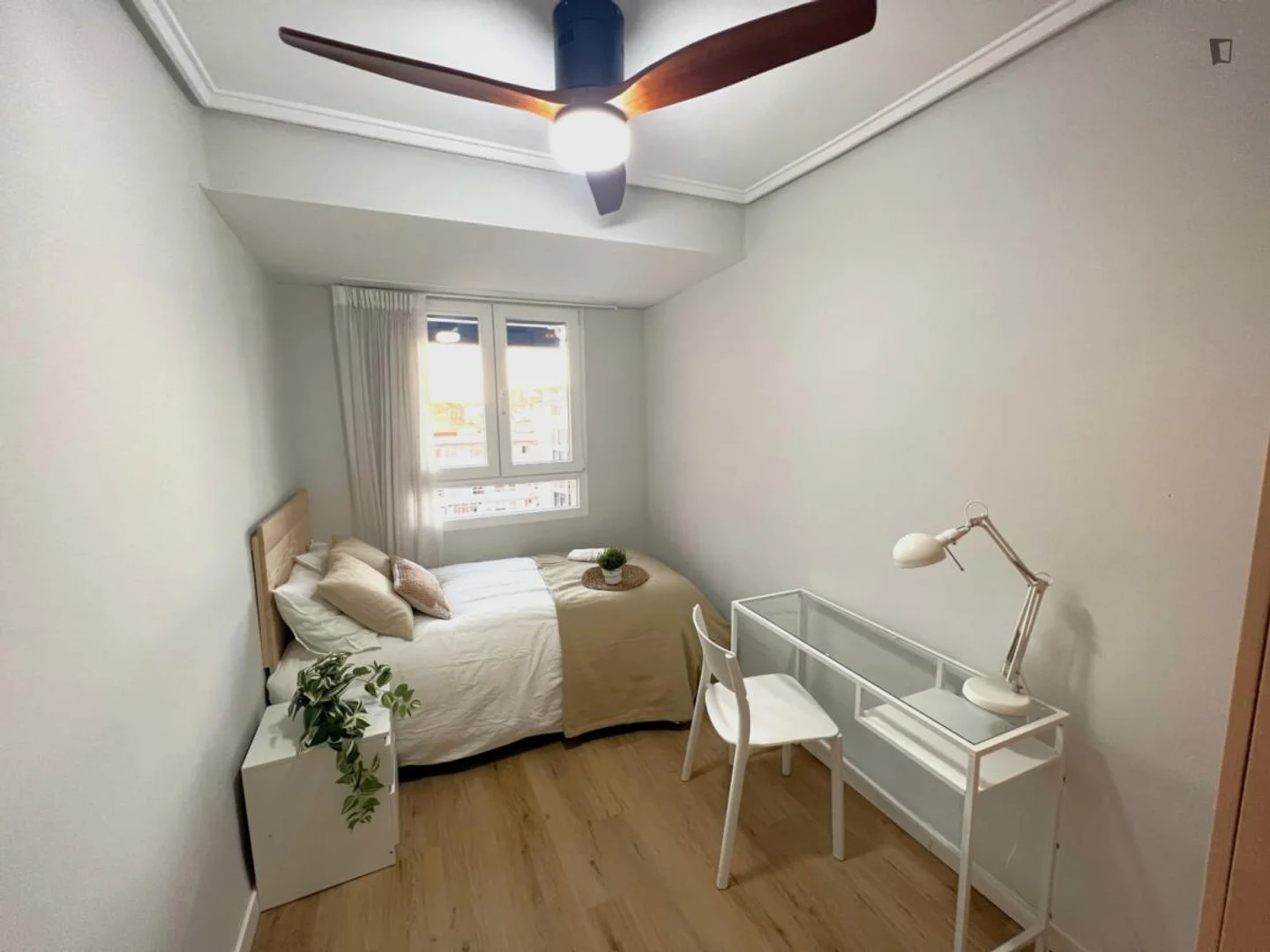 Budget-friendly student room close to campus in 