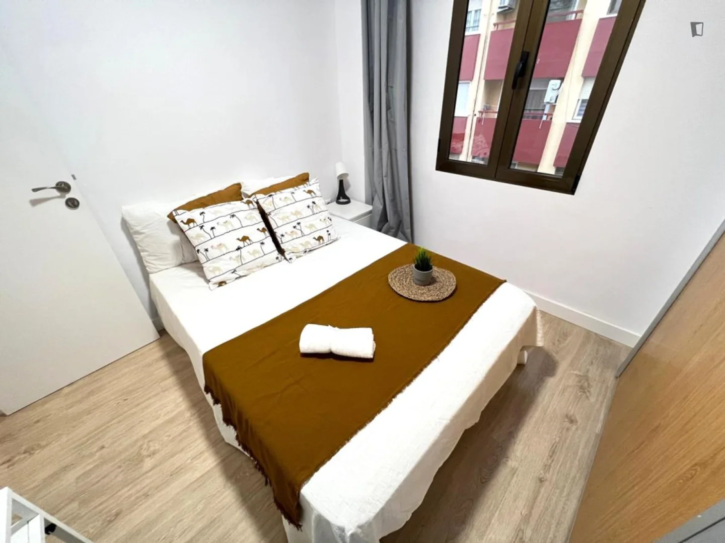 Budget-friendly student room close to campus in 