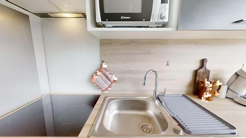Stanza privata in 16 Rue Emile Cochet, 35700 Rennes, France, immagine 12 di 20