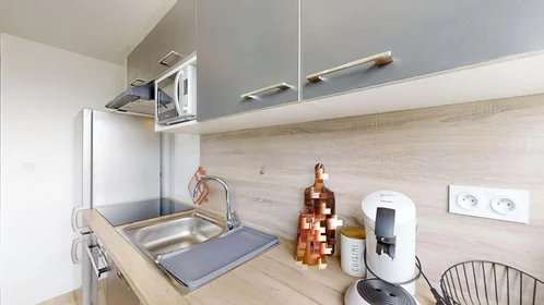 Stanza privata in 16 Rue Emile Cochet, 35700 Rennes, France, immagine 14 di 20