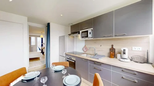 Stanza privata in 16 Rue Emile Cochet, 35700 Rennes, France, immagine 17 di 20