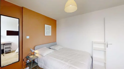 Stanza privata in 16 Rue Emile Cochet, 35700 Rennes, France, immagine 6 di 20
