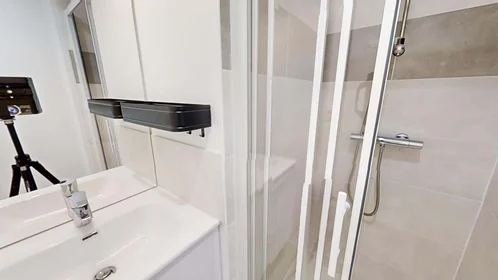 Stanza privata in 16 Rue Emile Cochet, 35700 Rennes, France, immagine 8 di 20