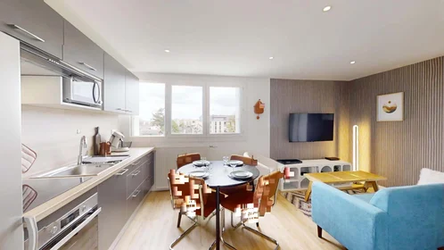 Stanza privata in 16 Rue Emile Cochet, 35700 Rennes, France, immagine 9 di 20