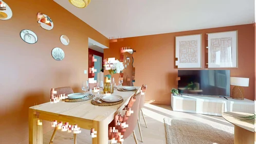Privatzimmer in der 5 Rue Longefer, 69008 Lyon, France, bild 13 von 23