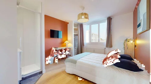 Privatzimmer in der 5 Rue Longefer, 69008 Lyon, France, bild 3 von 23