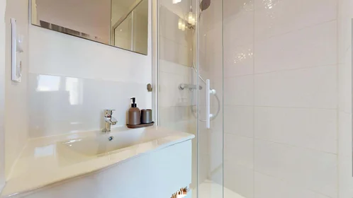 Privatzimmer in der 5 Rue Longefer, 69008 Lyon, France, bild 4 von 23